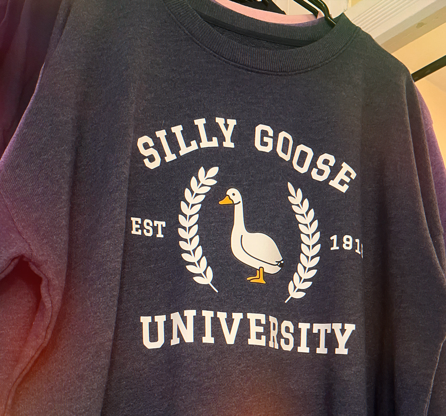 silly goose university