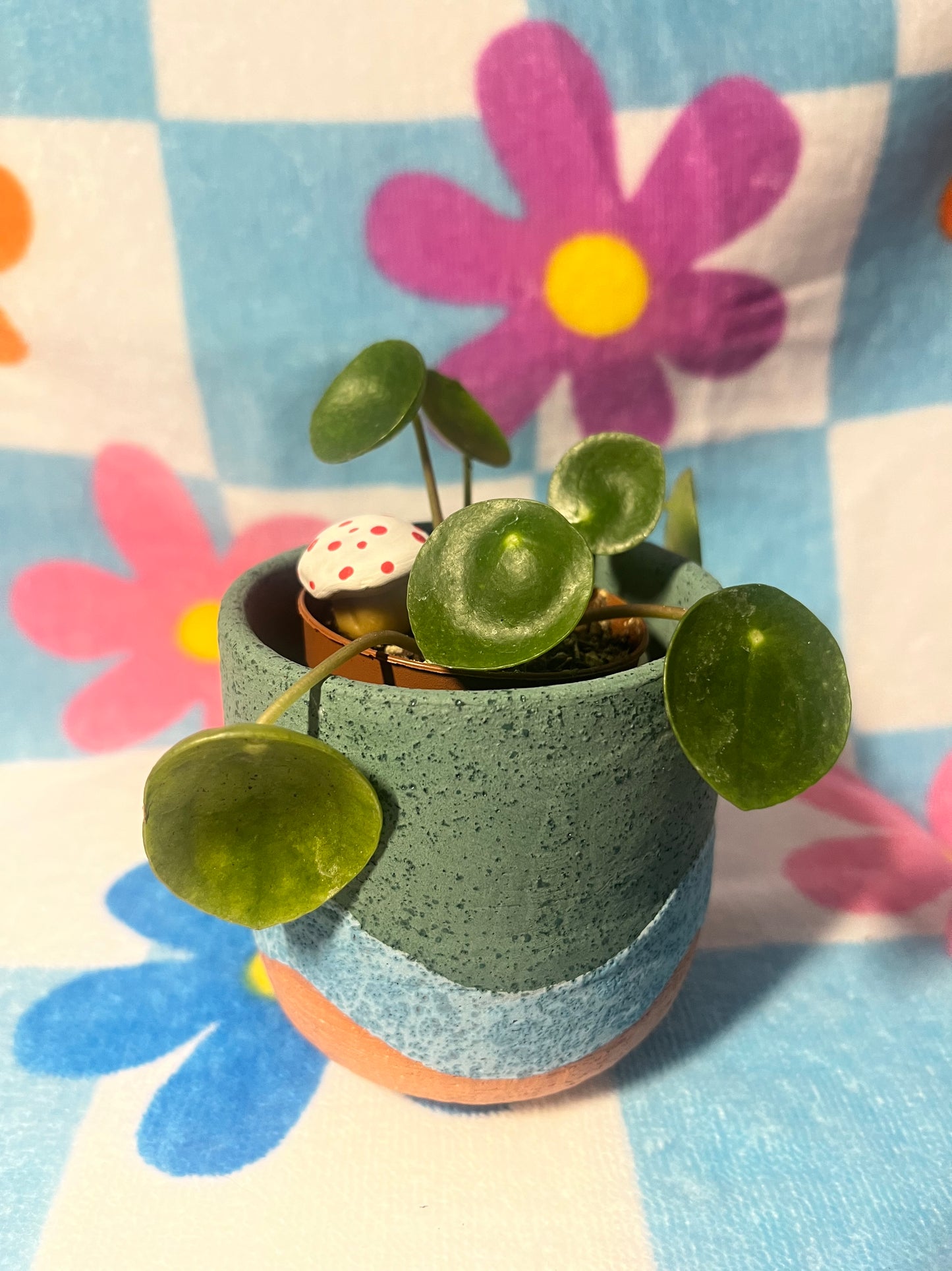 houseplant friends - shroomie