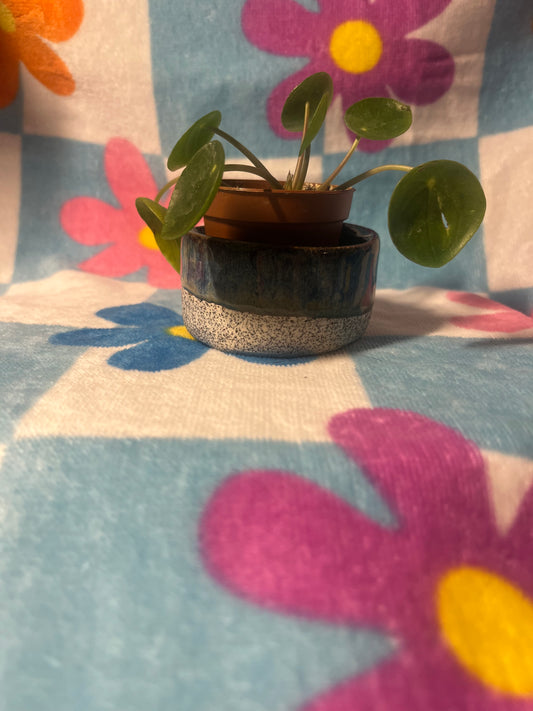 mini planter